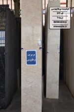 سنگ مرمریت پر طاووسی کد 217